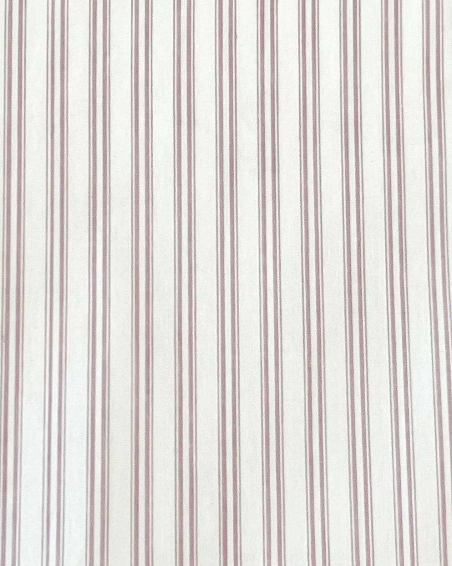 The Button Short - Musk Stripe features white organic cotton fabric with evenly spaced vertical thin red stripes, offering a simple and classic look.