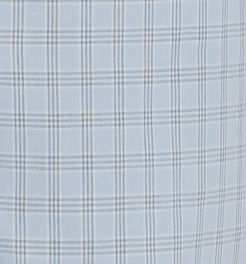 The Buttoned Mini Dress - Powder Check features a light blue and white plaid fabric accented by fine dark blue and gray lines forming an evenly spaced grid pattern. This timeless design, inspired by Deiji Studios' signature effortless chic, makes it a perfect choice for a classic shift dress.