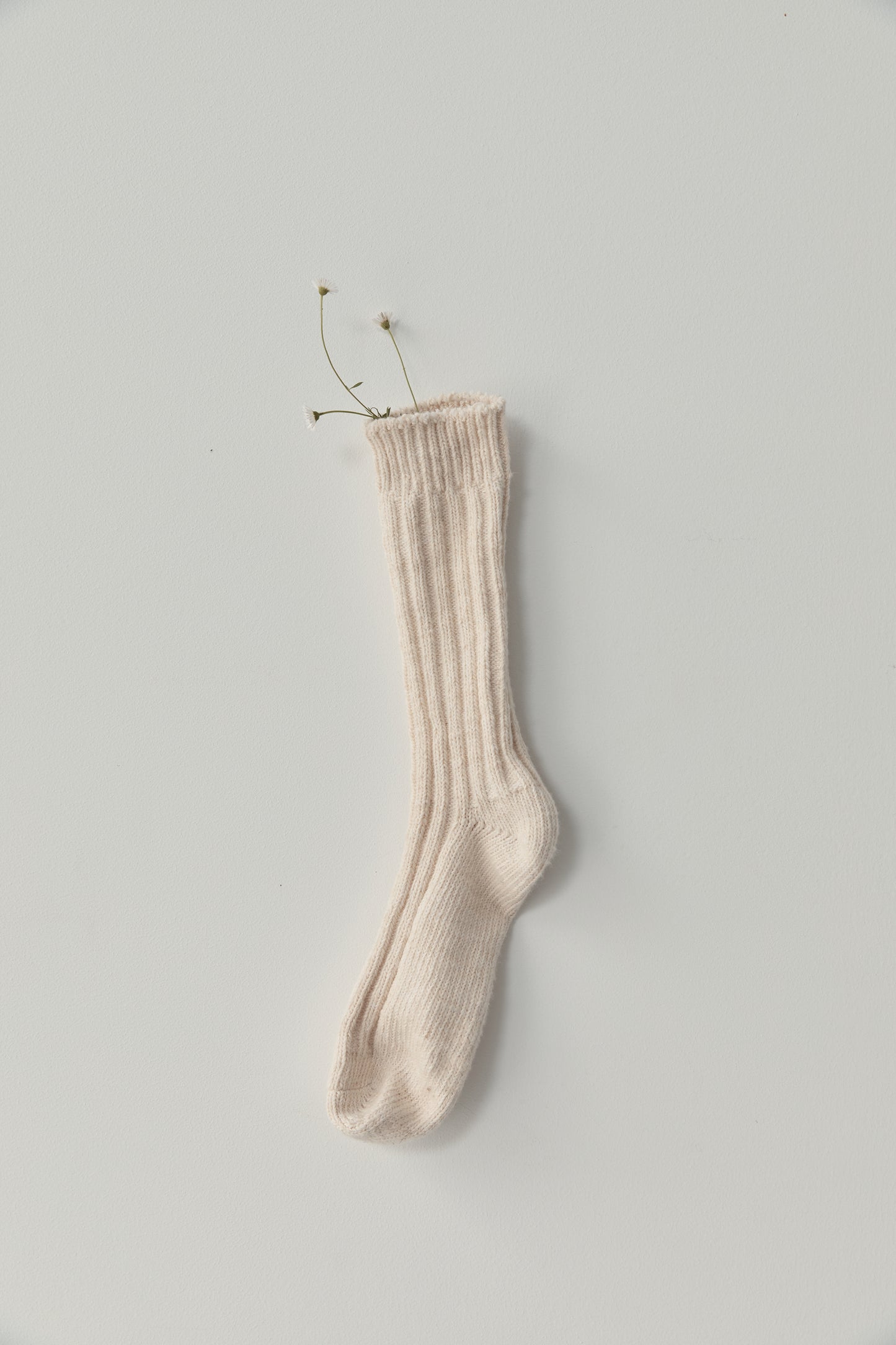 the woven sock - cream by Deiji Studios against plain background