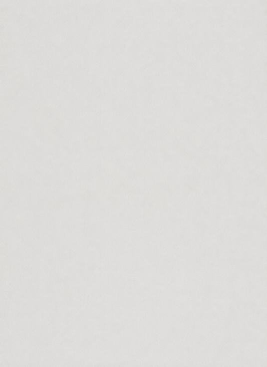 A blank white textured surface, possibly paper or a wall, with no distinguishable objects or markings visible—evoking the clean, minimal aesthetic often associated with the effortless elegance of Deiji Studios’ Tencel Pant - Grey and its signature wide-leg silhouette.