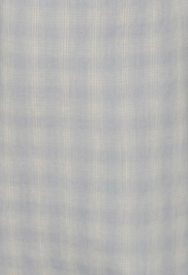 Deiji Studios’ Button Frill Top features a soft, light blue checkered fabric with a subtle plaid design and smooth texture, highlighted by evenly spaced lines for a gentle pattern.